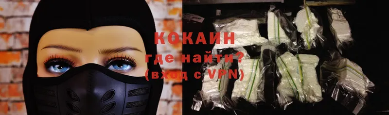 Cocaine FishScale  купить   Каменногорск 